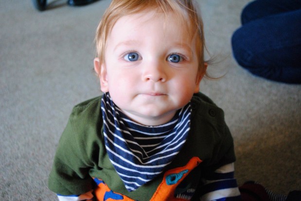 Alexander at 1 – a New Years Eve round&nbsp;up